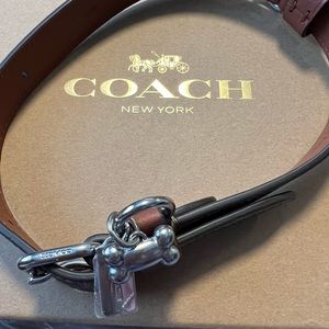 Coach signature dog collar